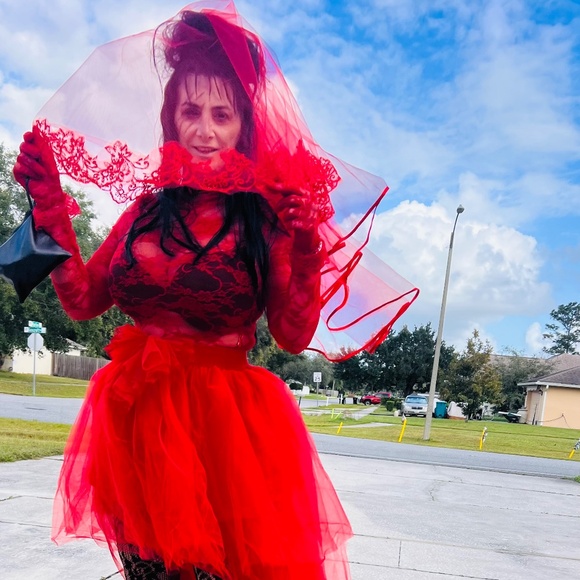 DIY Lydia Deetz BEETLEJUICE Halloween Costume S/M - Picture 1 of 3